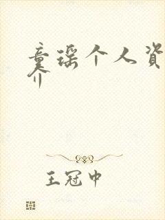 童瑶个人资料简介