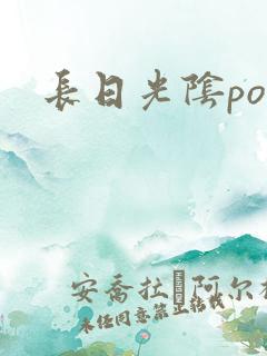 长日光阴po