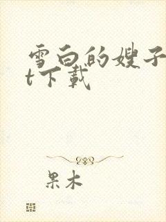 雪白的嫂子txt下载
