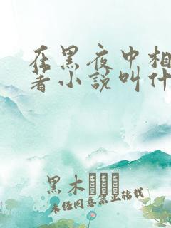 在黑夜中相拥原著小说叫什么