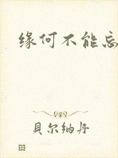 缘何不能忘记你