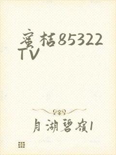 蜜桔85322TV