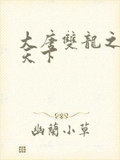 大唐双龙之无敌天下