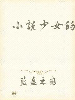 小说少女的心