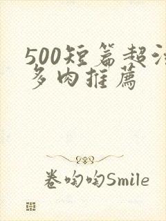 500短篇超污多肉推荐
