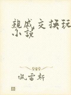 亲戚交换玩美妇小说