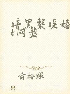 暗黑系暖婚txt网盘