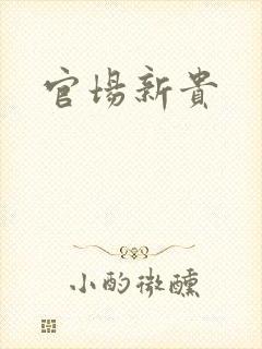 官场新贵