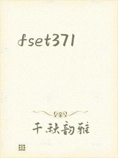 fset371