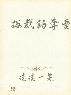 总裁的夺爱游戏