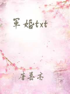 军婚txt