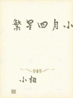 繁星四月小说