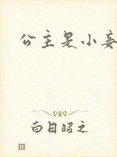 公主是小妾