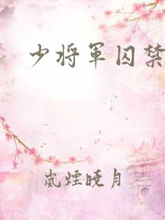 少将军囚禁我