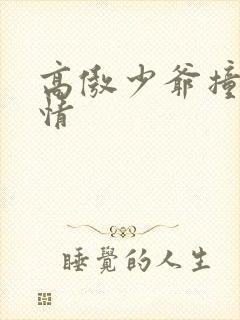 高傲少爷撞到爱情