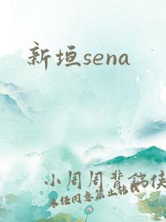 新垣sena