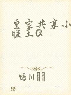 皇家共享小公主暖玉Q