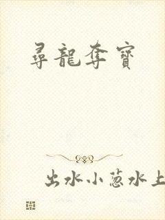 寻龙夺宝