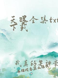 天眼全集txt下载