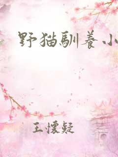 野猫驯养小说