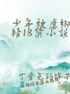 少年被虐绑着榨精18禁小说