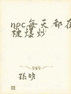 npc每天都在被爆炒