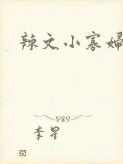 辣文小寡妇