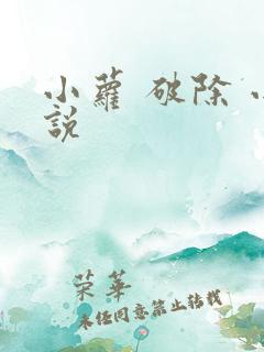 小萝 破除 小说