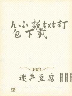 h小说txt打包下载