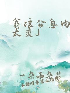 翁浪公息肉吊大太爽J