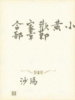 合家欢黄小梅全部章节