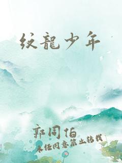 纹龙少年