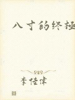 八寸的终极凶器