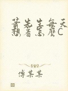 萧先生每天都在想着怎么C