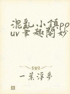混乱小镇popuv笔趣阁妙妙