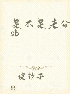 是不是老公的小sb