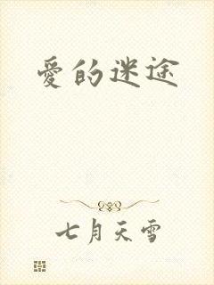 爱的迷途