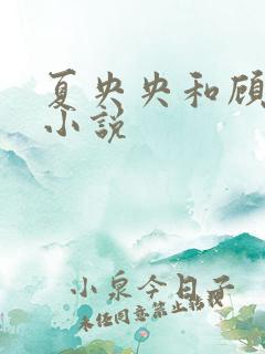 夏央央和顾祁琛小说