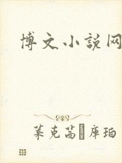 博文小说网