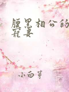 腹黑相公的庶女宠妻