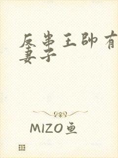 反串王帅有几任妻子