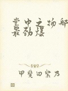 掌中之物哪一章最劲爆