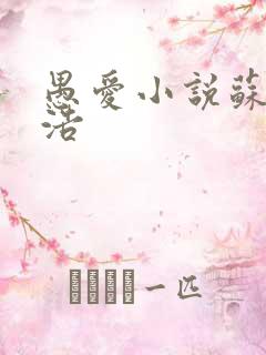 愚爱小说苏倩孙浩