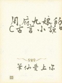 周府九娘的NPC古言小说叫什么