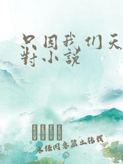 只因我们天生一对小说