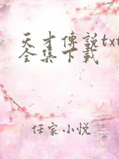 天才传说txt全集下载