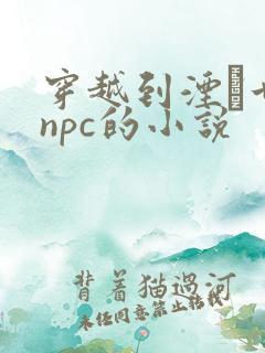 穿越到湮婸世界npc的小说