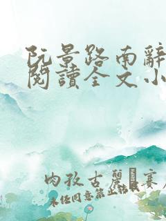 阮景路南辞免费阅读全文小说