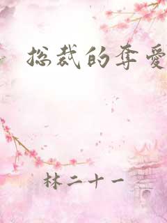 总裁的夺爱游戏