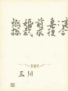 燃婚前妻:高冷总裁求复合